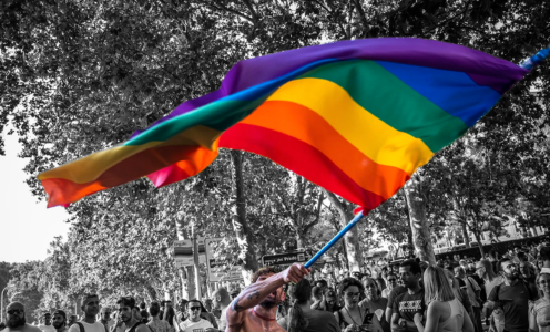 I DIRITTI DELLE PERSONE LGBTQIA+